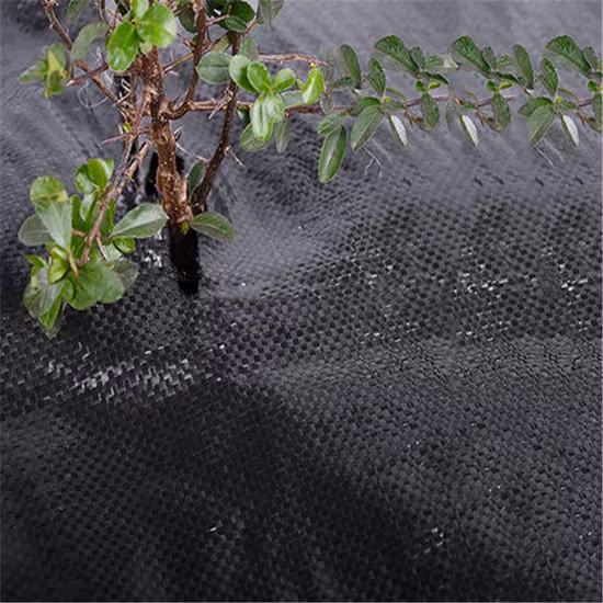 80g/90g/100g Polypropylene Woven PP Ground Cover Geotextile