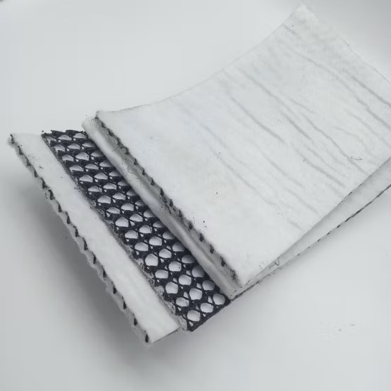 매립 네트워크에 사용되는 HDPE 3D 복합 배수 지오넷