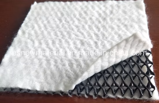 중국의 7.6mm HDPE Geonet Tri-Planer 공급 업체