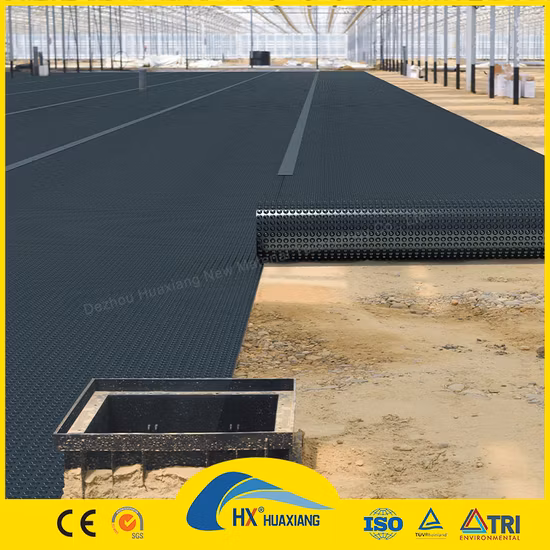 농업/댐/매립/호수/바이오가스/양식 프로젝트를 위한 0.2mm/0.5mm/1.0mm/2.0mm 검정색 플라스틱 필름 라이닝 CE/ASTM Viring 방수 HDPE Geomembrane