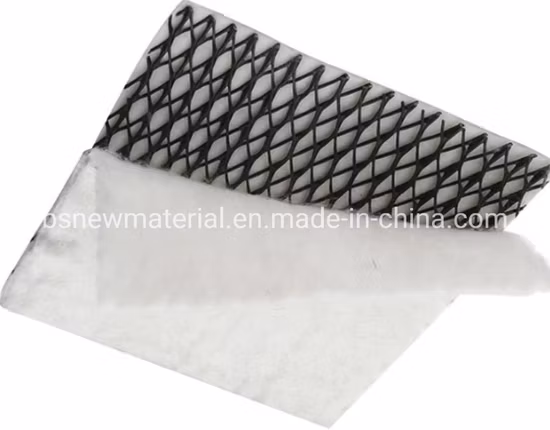 배수 HDPE 플라스틱 지오넷, 좋은 가격